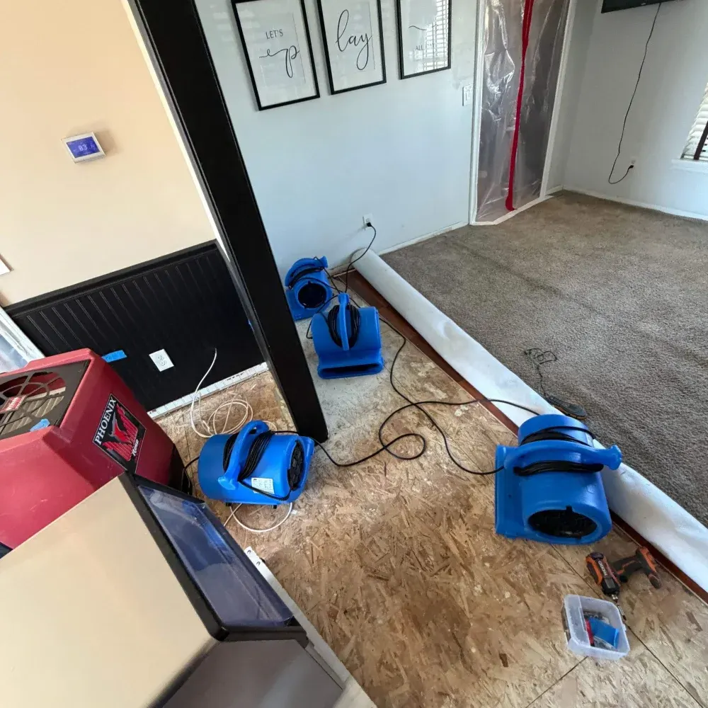IICRC certified drying setup in Vigo County, IN